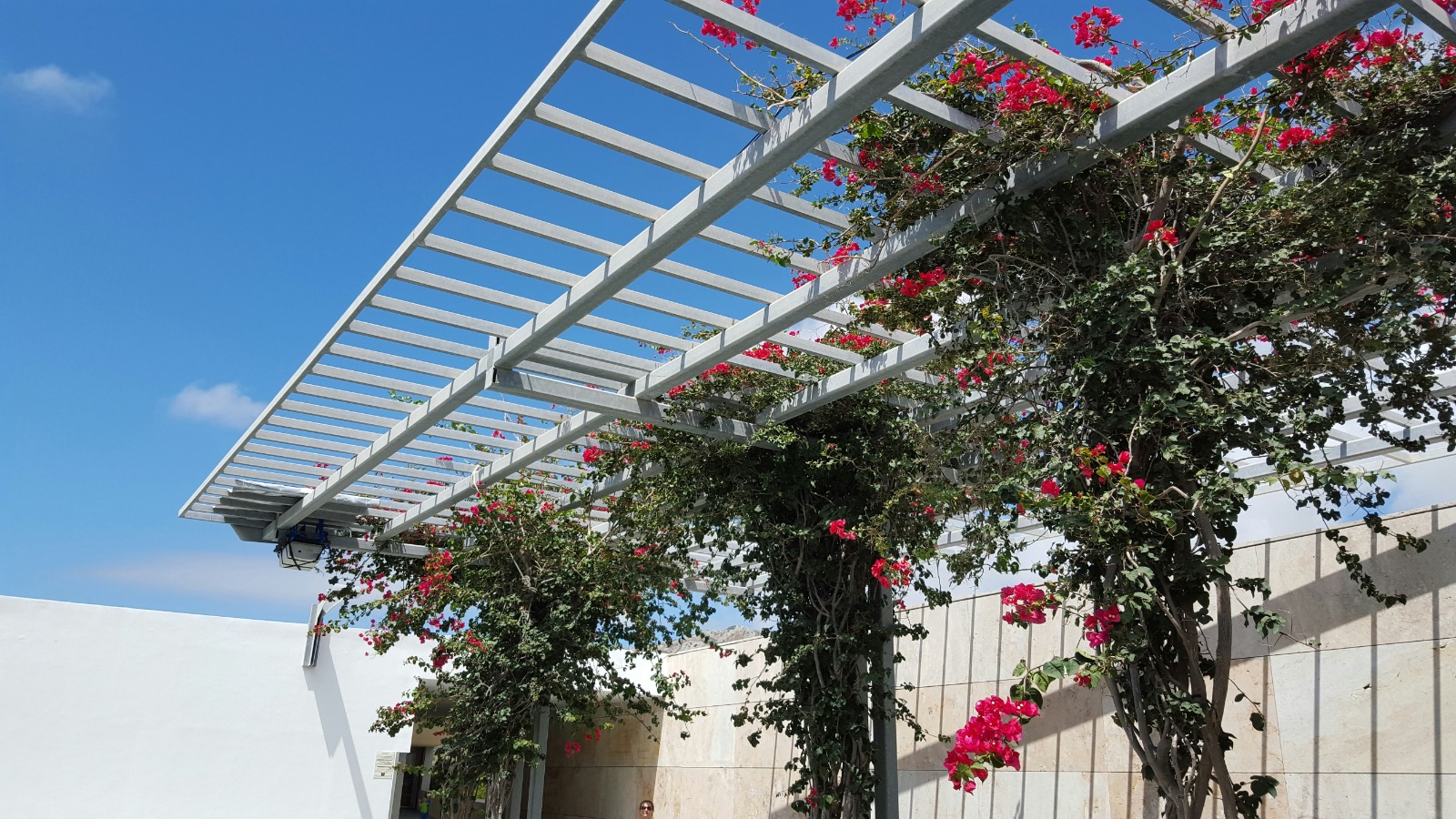 Steel cantilever structures